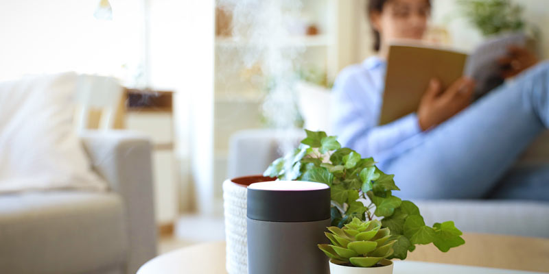 Woman with a blue shirt and jeans reading on the sofa, diffuser is spreading a scent next to two plants.